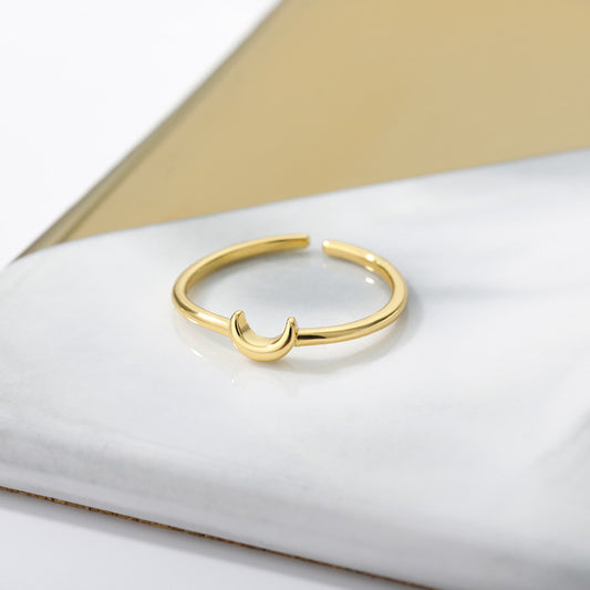 ModLux Gold and Silver Ring